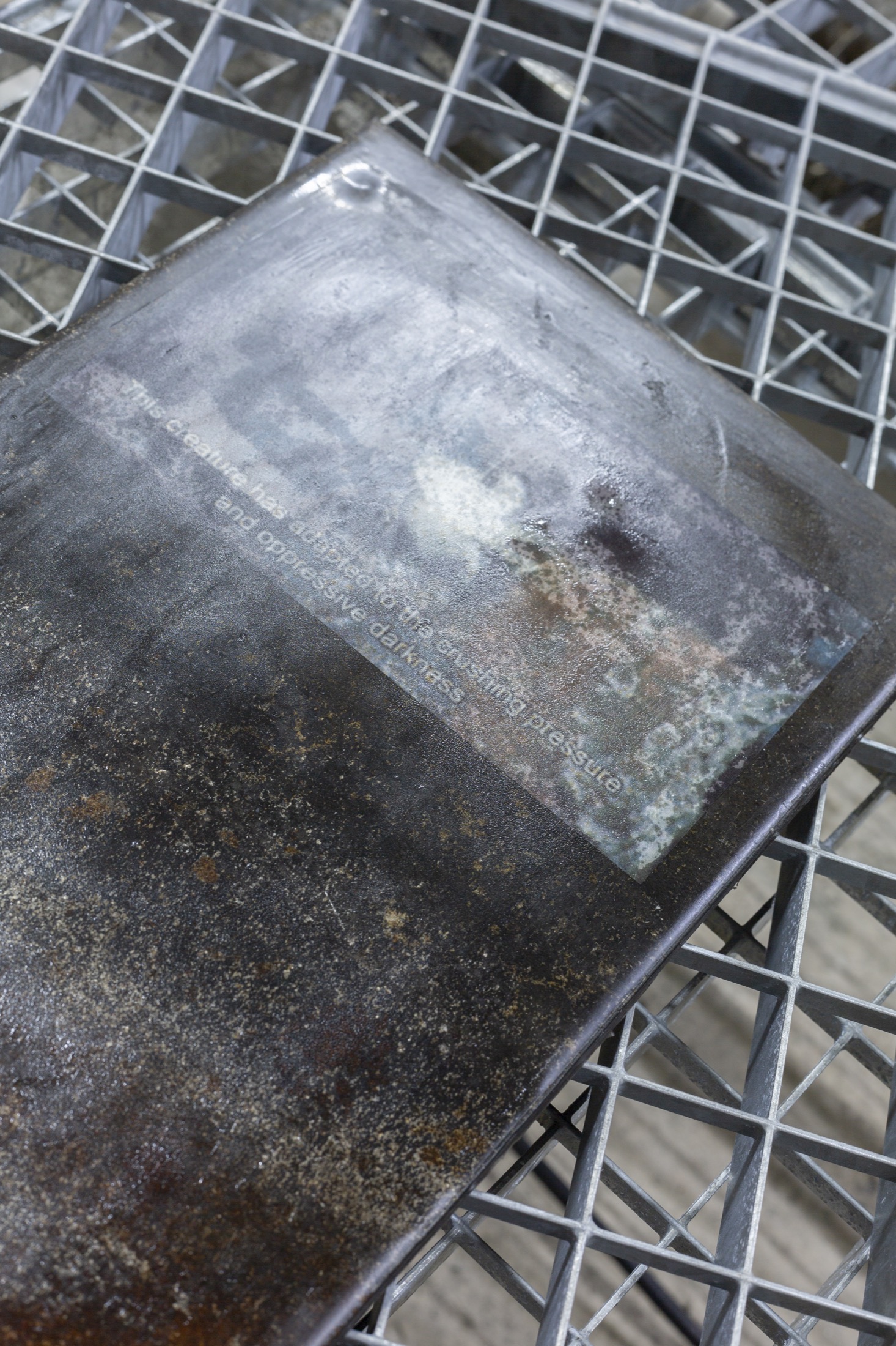 The Arc (Carcinisation) - Image 4